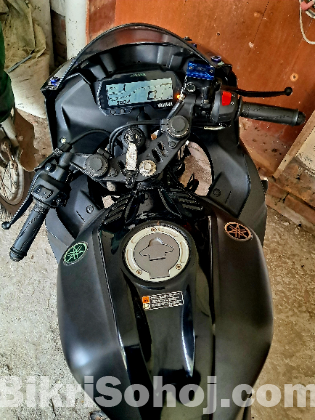 OFFICIAL R15 V3 2024